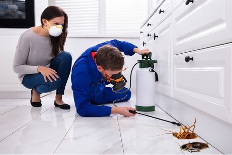 Ev İlaçlama Ne Zaman Yapılmalıdır? | Sağlıklı ve Haşeresiz Evler