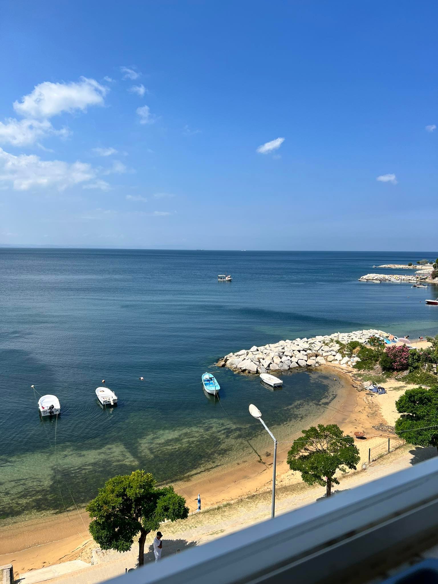Neden Sarıyer'de Böcek İlaçlama Önemlidir?